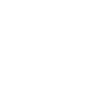 Ícone certificado